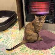 ヒメ日記 2025/10/23 19:12 投稿 藤森　あみ プルプル札幌性感エステ はんなり