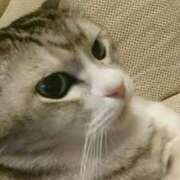 ヒメ日記 2025/11/01 08:18 投稿 藤森　あみ プルプル札幌性感エステ はんなり