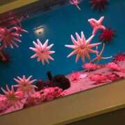 ヒメ日記 2025/11/29 08:18 投稿 藤森　あみ プルプル札幌性感エステ はんなり