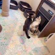 ヒメ日記 2025/12/09 21:27 投稿 藤森　あみ プルプル札幌性感エステ はんなり