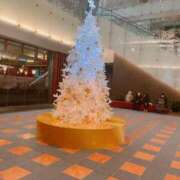 ヒメ日記 2025/12/23 21:33 投稿 藤森　あみ プルプル札幌性感エステ はんなり