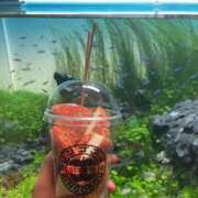 ヒメ日記 2026/01/17 10:18 投稿 藤森　あみ プルプル札幌性感エステ はんなり