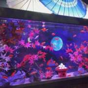 ヒメ日記 2026/03/01 13:18 投稿 藤森　あみ プルプル札幌性感エステ はんなり