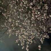 ヒメ日記 2026/04/25 08:18 投稿 藤森　あみ プルプル札幌性感エステ はんなり