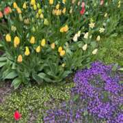 ヒメ日記 2026/05/02 18:12 投稿 藤森　あみ プルプル札幌性感エステ はんなり
