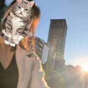 ヒメ日記 2025/11/01 15:50 投稿 えりか 性腺熟女100％鶯谷（デリヘル市場）