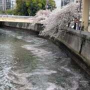 ヒメ日記 2026/04/08 17:10 投稿 えりか 性腺熟女100％鶯谷（デリヘル市場）