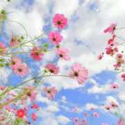 ヒメ日記 2025/09/28 08:18 投稿 ようこ 熟女の風俗最終章 沼津店