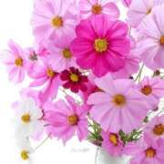 ヒメ日記 2025/10/05 09:22 投稿 ようこ 熟女の風俗最終章 沼津店