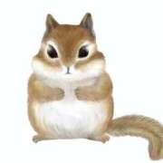 ヒメ日記 2025/11/05 07:49 投稿 ようこ 熟女の風俗最終章 沼津店