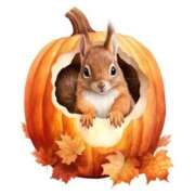 ヒメ日記 2025/11/07 11:28 投稿 ようこ 熟女の風俗最終章 沼津店