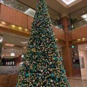 ヒメ日記 2025/12/09 07:20 投稿 ようこ 熟女の風俗最終章 沼津店