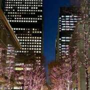 ヒメ日記 2025/12/25 22:01 投稿 ようこ 熟女の風俗最終章 沼津店