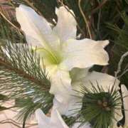 ヒメ日記 2026/01/08 16:48 投稿 ようこ 熟女の風俗最終章 沼津店