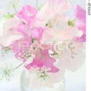 ヒメ日記 2026/01/31 09:58 投稿 ようこ 熟女の風俗最終章 沼津店