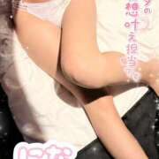 ヒメ日記 2025/12/29 23:38 投稿 にな ミルクハート（ユメオト）