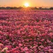 ヒメ日記 2025/10/02 05:31 投稿 みずき 水戸角海老