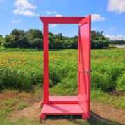 ヒメ日記 2025/10/02 16:51 投稿 みずき 水戸角海老