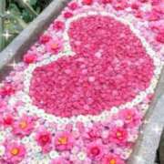 ヒメ日記 2025/11/05 20:41 投稿 みずき 水戸角海老