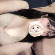 ヒメ日記 2026/01/29 17:43 投稿 しおり アラカルト