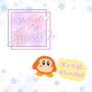 ヒメ日記 2025/11/17 20:49 投稿 ゆめか スピードエコ日本橋店