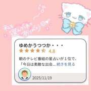 ヒメ日記 2025/11/23 14:10 投稿 ゆめか スピードエコ日本橋店