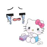 ヒメ日記 2025/11/24 22:49 投稿 ゆめか スピードエコ日本橋店