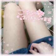 ヒメ日記 2025/12/11 13:39 投稿 ゆめか スピードエコ日本橋店