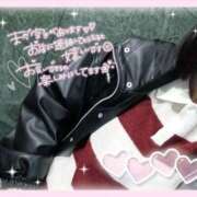 ヒメ日記 2026/01/27 11:59 投稿 ゆめか スピードエコ日本橋店