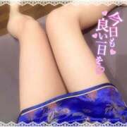 ヒメ日記 2026/02/20 14:49 投稿 ゆめか スピードエコ日本橋店