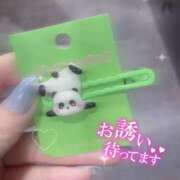 ヒメ日記 2026/02/27 23:49 投稿 ゆめか スピードエコ日本橋店