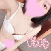 ヒメ日記 2026/03/31 08:29 投稿 ゆめか スピードエコ日本橋店