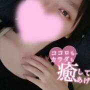 ヒメ日記 2026/03/31 12:35 投稿 ゆめか スピードエコ日本橋店