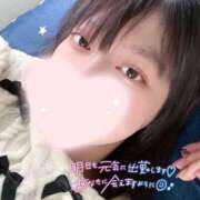 ヒメ日記 2026/04/02 00:59 投稿 ゆめか スピードエコ日本橋店