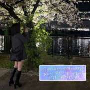 ヒメ日記 2026/04/24 12:49 投稿 ゆめか スピードエコ日本橋店