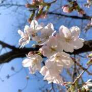 ヒメ日記 2026/03/27 14:27 投稿 るみな フロンティア