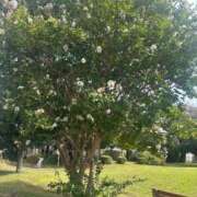 ヒメ日記 2025/09/28 11:46 投稿 かほ ぽっちゃり巨乳素人専門横浜関内伊勢佐木町ちゃんこ