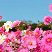 ヒメ日記 2025/09/30 12:16 投稿 かほ ぽっちゃり巨乳素人専門横浜関内伊勢佐木町ちゃんこ