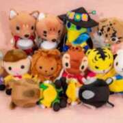 ヒメ日記 2025/10/05 18:26 投稿 かほ ぽっちゃり巨乳素人専門横浜関内伊勢佐木町ちゃんこ