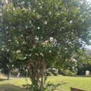 ヒメ日記 2025/09/28 11:33 投稿 かほ 新横浜ちゃんこ