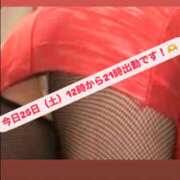 ヒメ日記 2025/10/25 11:53 投稿 かほ 新横浜ちゃんこ