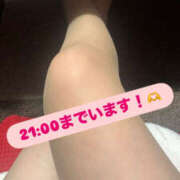 ヒメ日記 2025/10/25 15:53 投稿 かほ 新横浜ちゃんこ