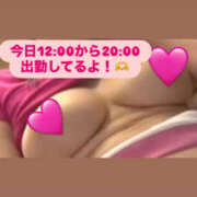 ヒメ日記 2025/10/26 12:05 投稿 かほ 新横浜ちゃんこ