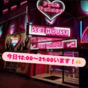 ヒメ日記 2025/11/08 12:04 投稿 かほ 新横浜ちゃんこ