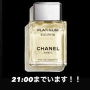 ヒメ日記 2025/11/08 14:03 投稿 かほ 新横浜ちゃんこ