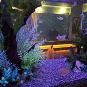 えな さむさむ🌧️ 完熟ばなな千葉店