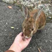 ヒメ日記 2025/10/17 17:22 投稿 まひろ 熟女の風俗最終章 新宿店