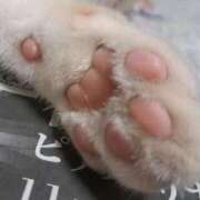 ヒメ日記 2025/10/02 21:13 投稿 かな【スタンダード】 博多の熟女