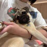 ヒメ日記 2025/09/30 15:45 投稿 いと The White