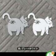 ヒメ日記 2025/11/18 22:12 投稿 らんこ 熟女の風俗最終章 新宿店